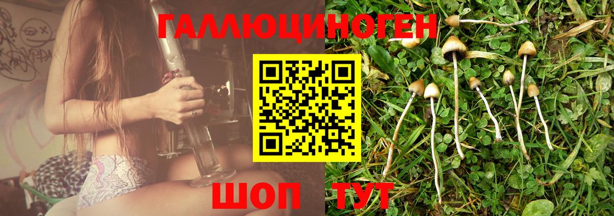 Псилоцибиновые грибы мухоморы  Вход с VPN  Рязань 