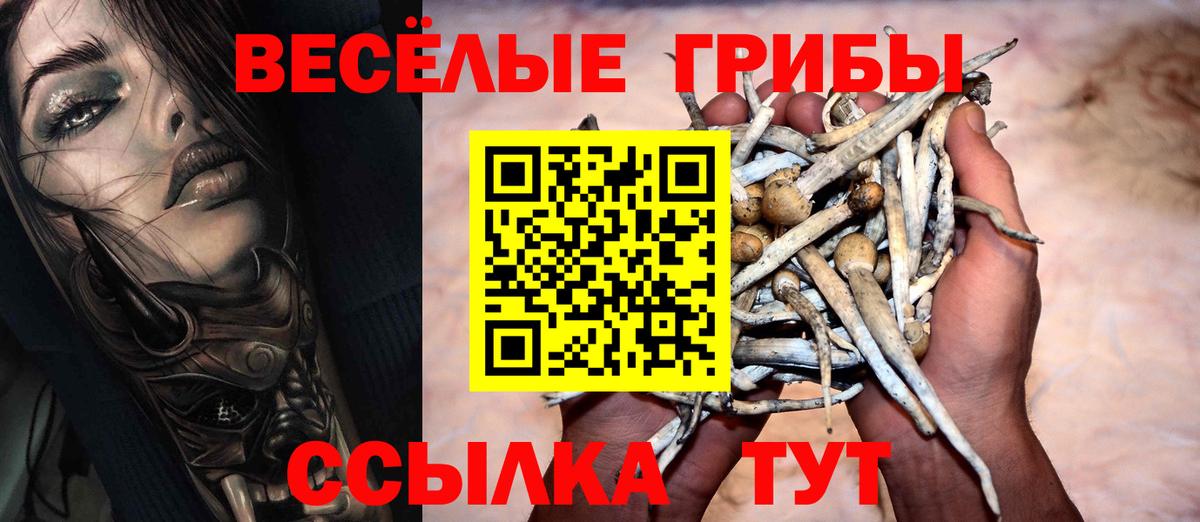 Псилоцибиновые грибы Psilocybine cubensis Рязань